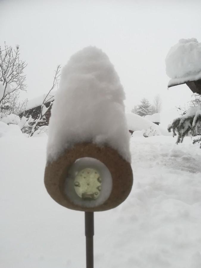 Haus Schmidberger Apartment Schneizlreuth Bagian luar foto